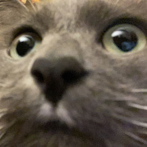 Meet your Posher, Sara